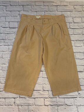 Maeve Anthropologie Pants Womens 18W Wide Leg Pleated Cropped Hi Rise Belt Loops